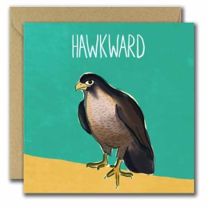 Hawkward