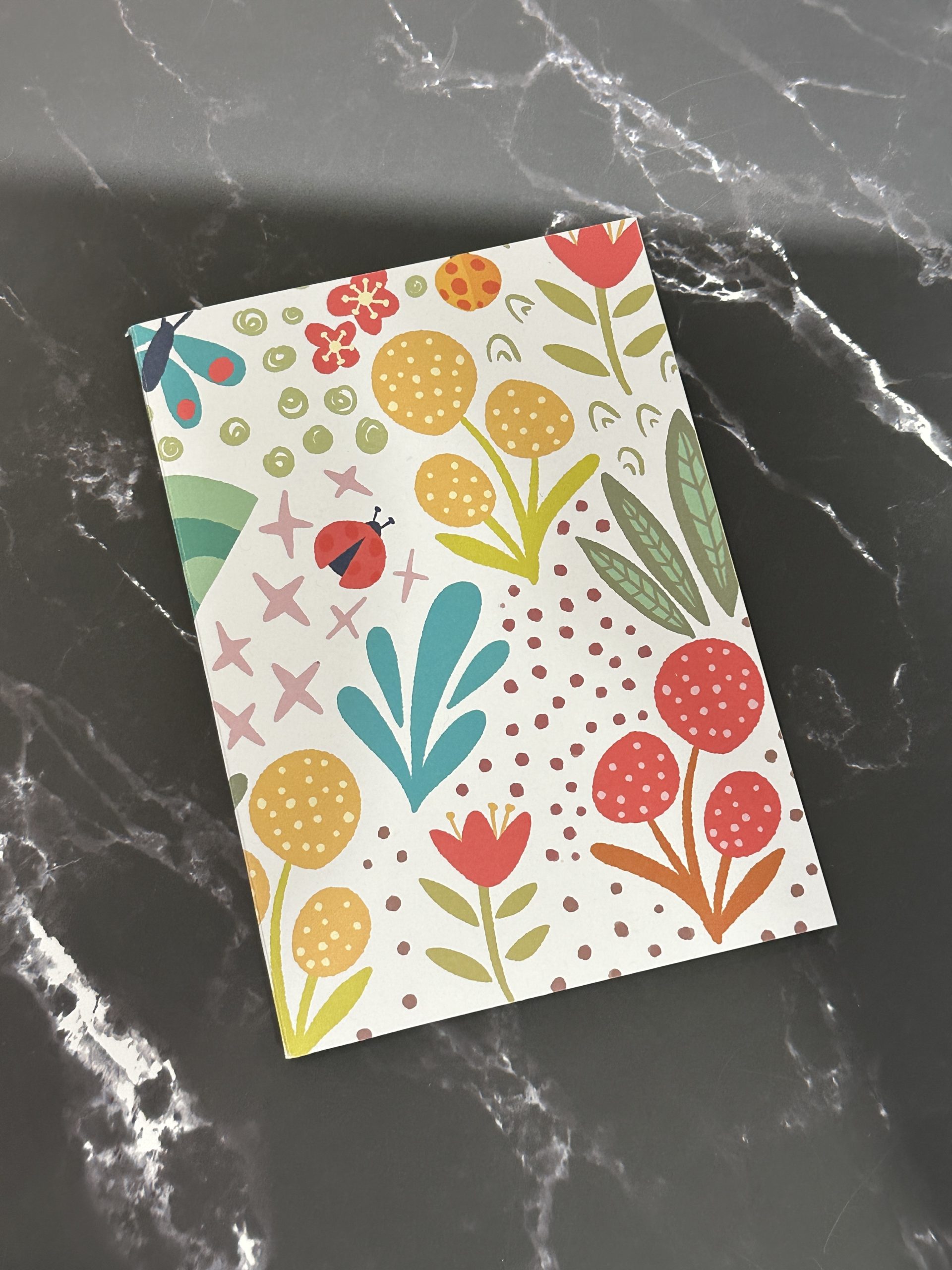 Ladybird handbound notebook (lined)